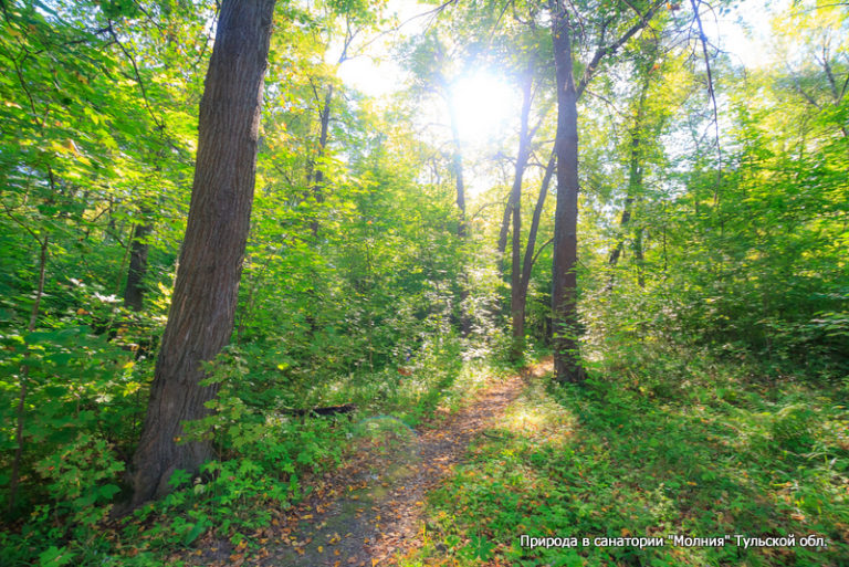 Лечение в СРЦ «Молния» — Санаторий «Молния», Тульская обл ...