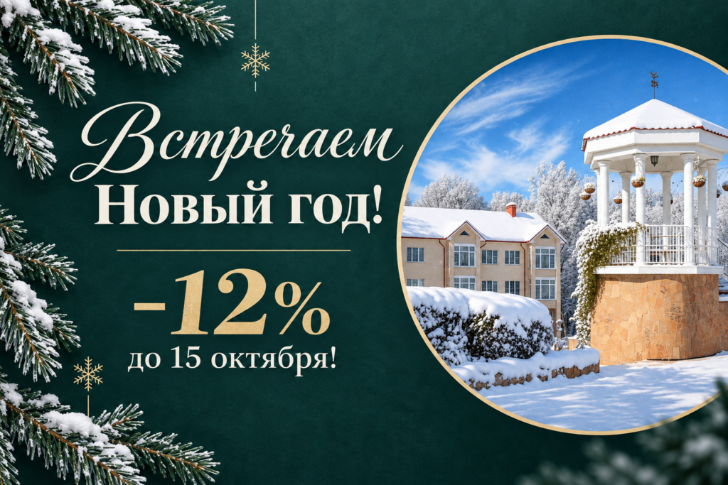 Цены и программа на Новый год в санатории Молния